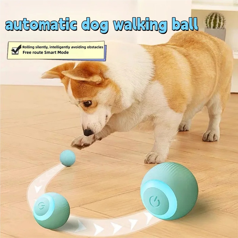 Cat Interactive Ball Smart Pet - Electronics Gadgets Wholesale ulasan dan harga